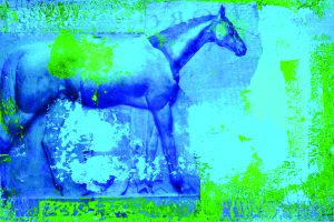 p16 _ marjorie guyon _ Blue Grass Horse Arhaus