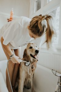 young women giving dog a bath