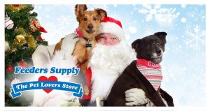 pets: santa holding two dogs posing for a picture