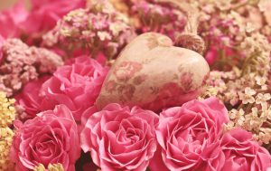 Valentine's Day: pink roses surrounding a heart