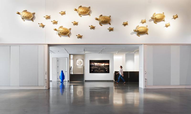 21c Museum Hotel: white walls with gold turtles hanging and a bright blue penguine