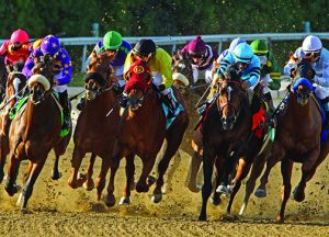 Lexington: horse race