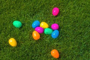 Egg Hunt: colorful plastic eggs on green grass